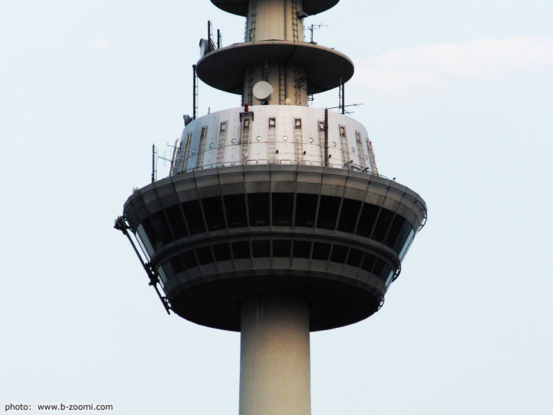 photo_1